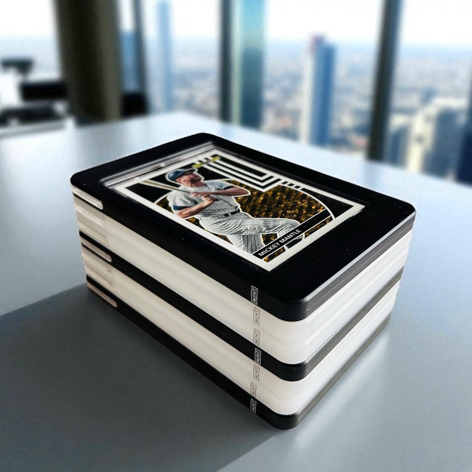 Sport Hobby Case