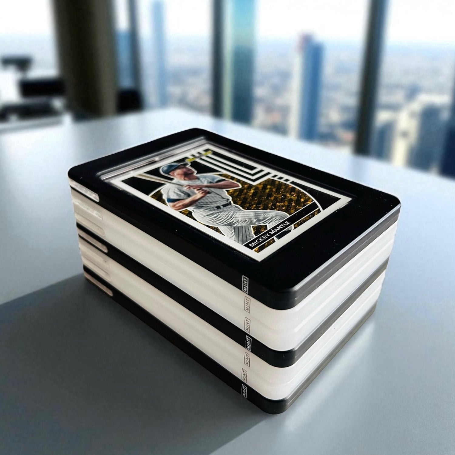Sport Hobby Case